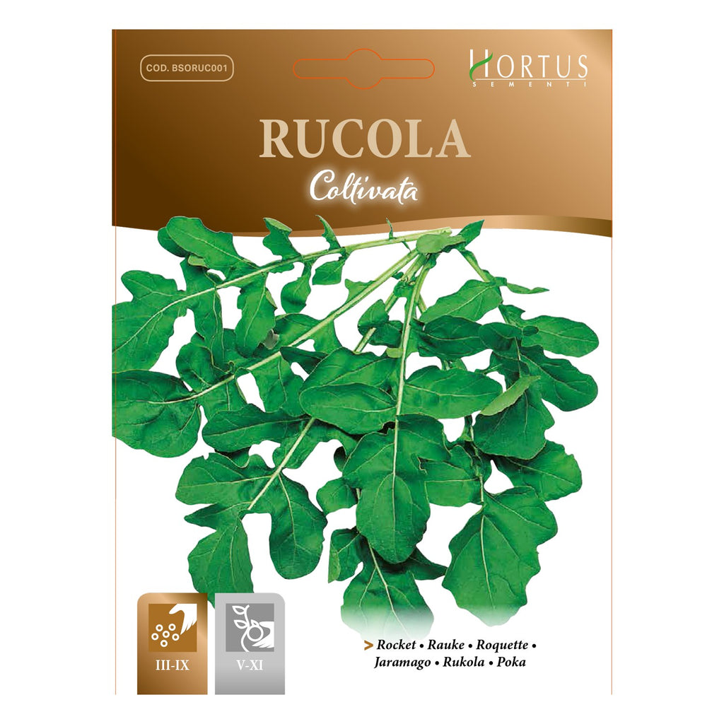 RUCOLA Coltivata