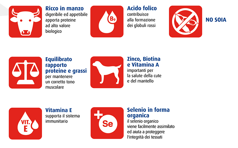 RALF - ADULT crocchette manzo