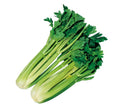 Sedano Verde