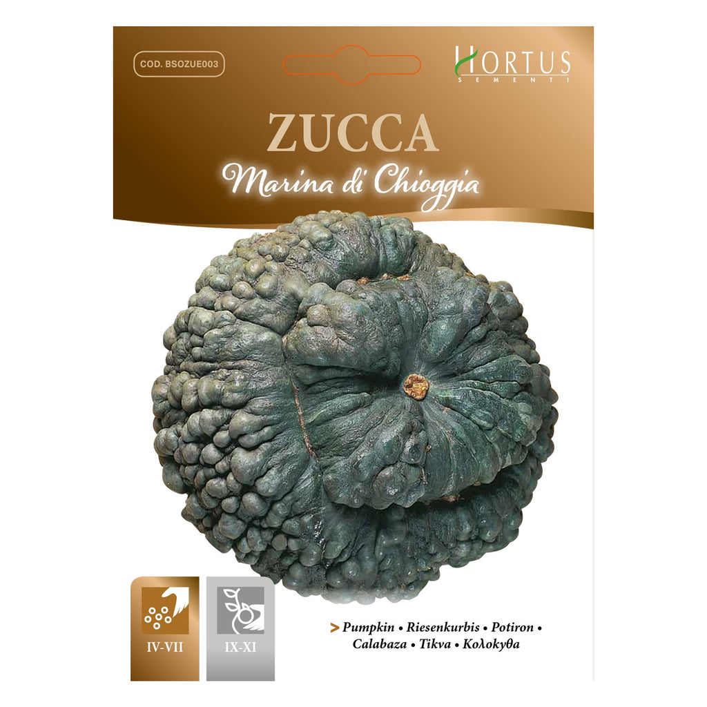 ZUCCA Marina di Chioggia