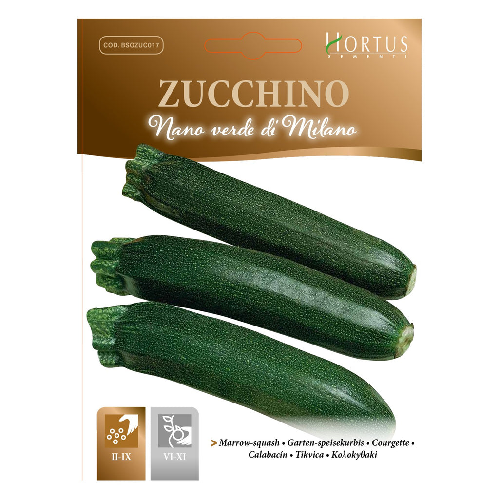 ZUCCHINO Nano Verde di Milano