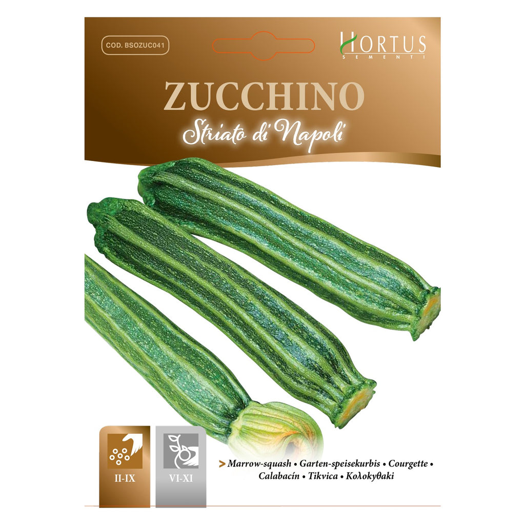 ZUCCHINO Striato di Napoli